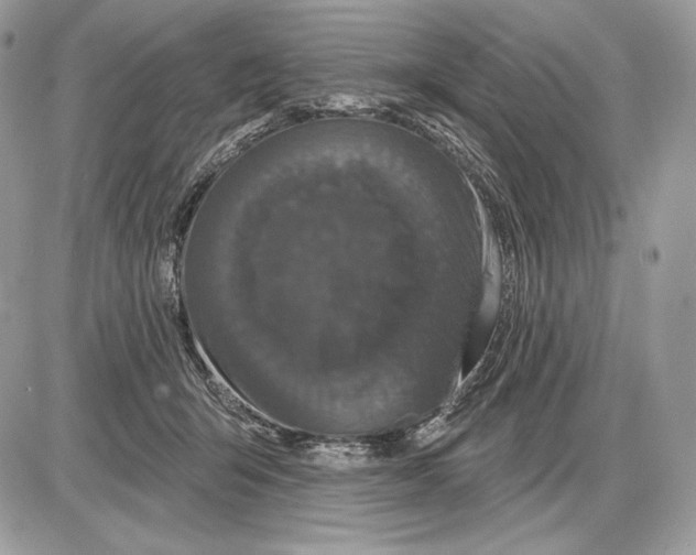 X0000085760415200704131743