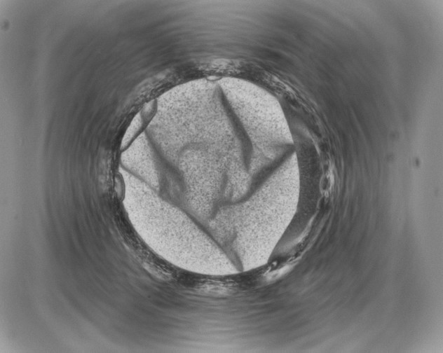 X0000085760416200704131743
