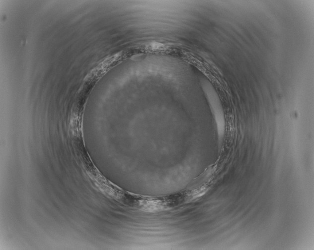 X0000085760419200704131743