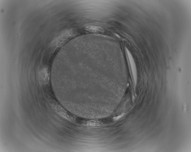 X0000085760420200704131743