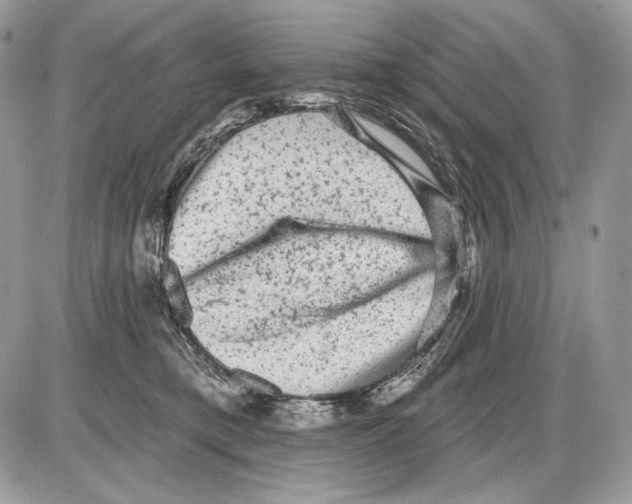 X0000085760421200704131743