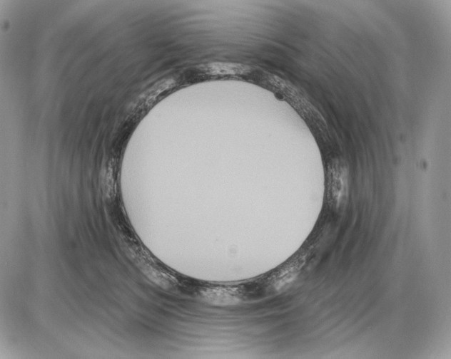 X0000085760422200704131743