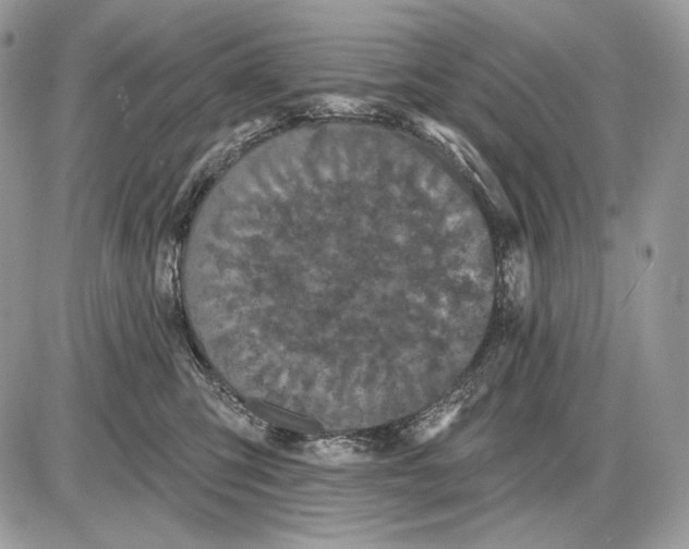 X0000085760423200704131743