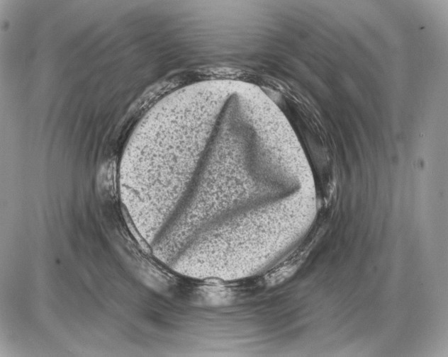 X0000085760425200704131743