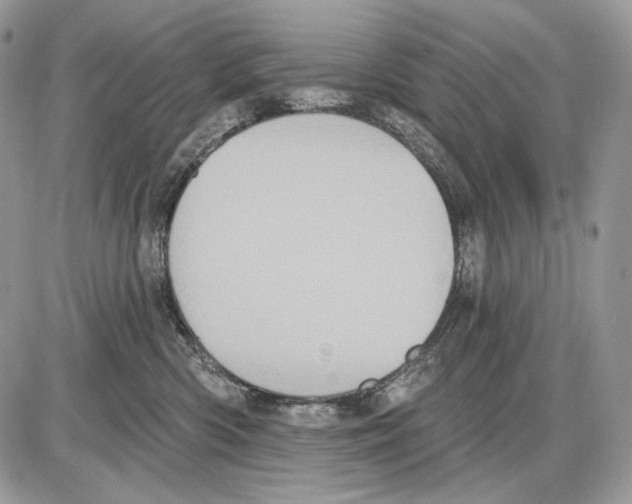 X0000085760426200704131743