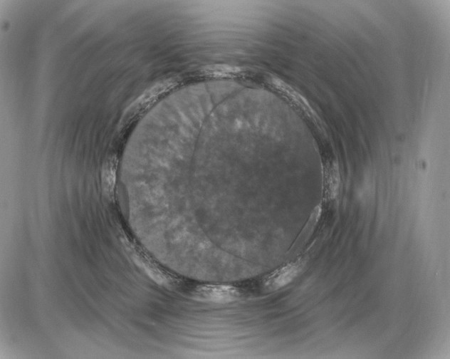 X0000085760427200704131743