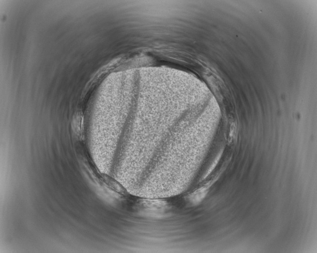 X0000085760429200704131743