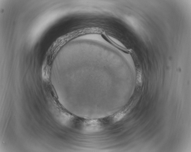 X0000085760431200704131742