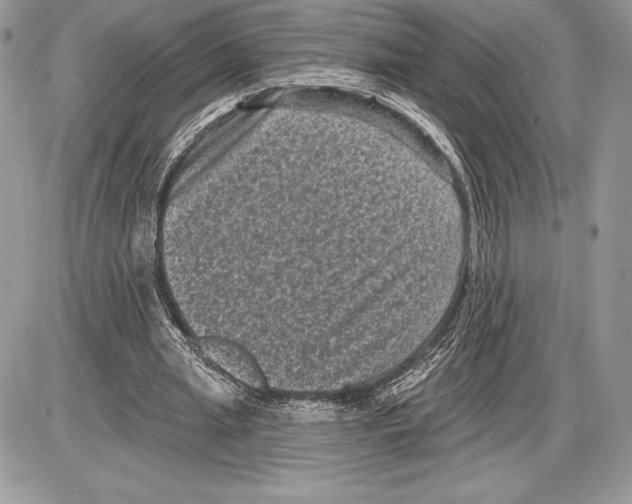 X0000085760437200704131742