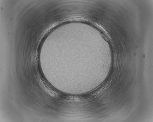 X0000085760439200704131742