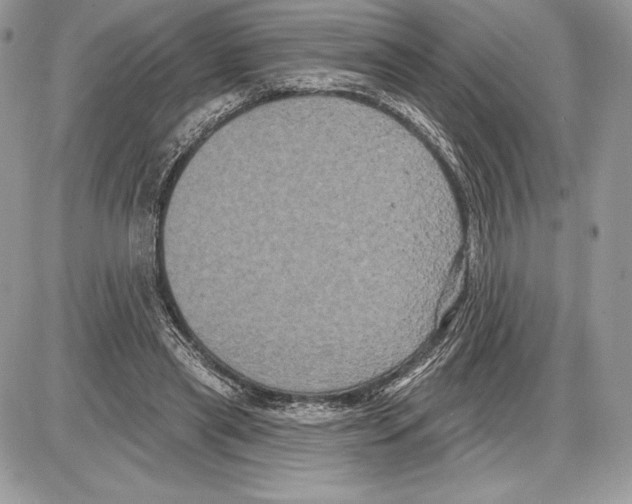 X0000085760445200704131742