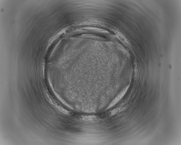 X0000085760446200704131742