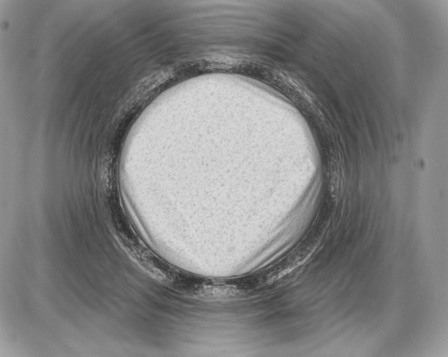 X0000085760455200704131742