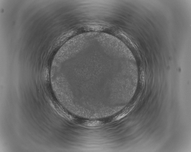 X0000085760459200704131742
