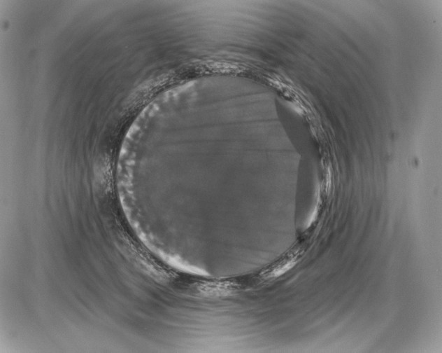 X0000085760465200704131742