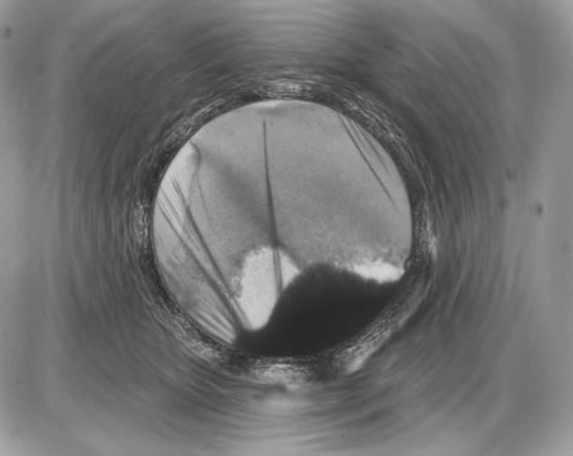 X0000085760467200704131742