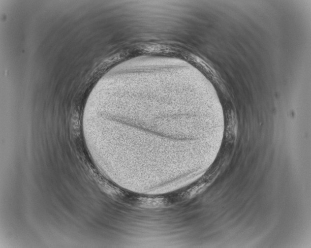 X0000085760469200704131742