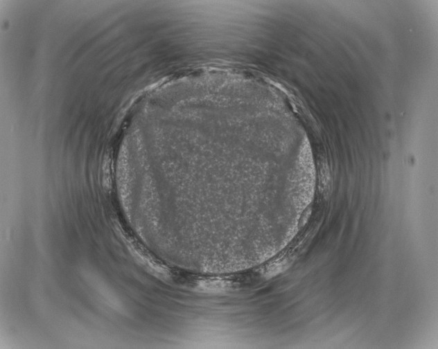 X0000085760470200704131742