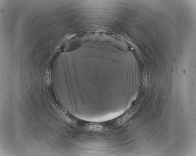 X0000085760471200704131742