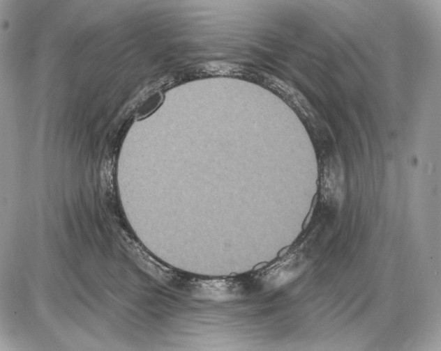 X0000085760473200704131742