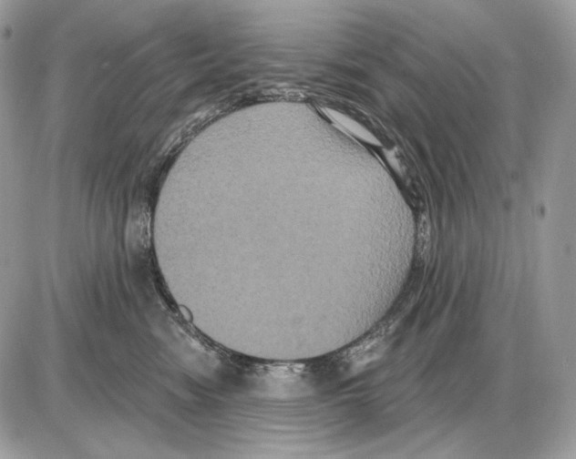 X0000085760474200704131742