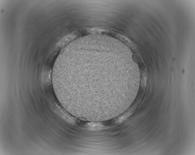 X0000085760477200704131742