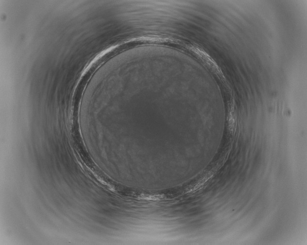 X0000085760484200704131742