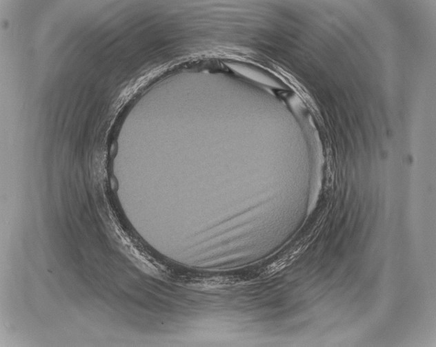 X0000085760485200704131742