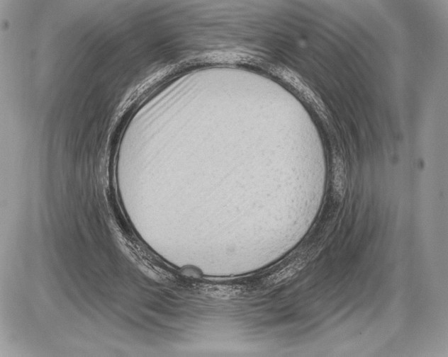 X0000085760486200704131742