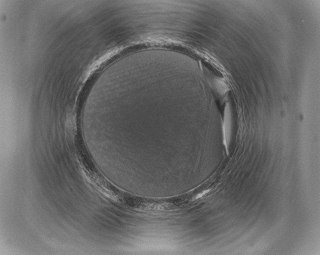 X0000085760488200704131741