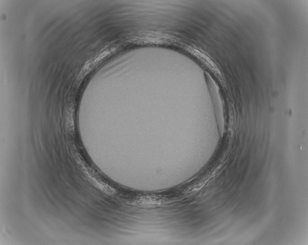 X0000085760489200704131741