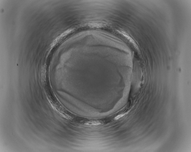 X0000085760492200704131741