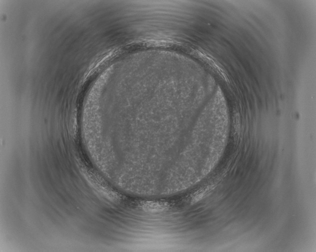 X0000085760494200704131741