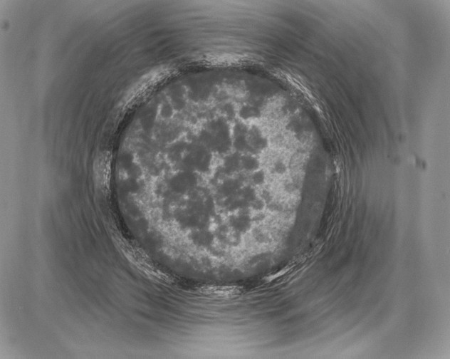 X0000085760495200704131741