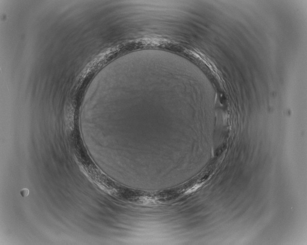 X0000085760496200704131741