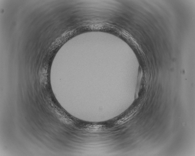 X0000085760497200704131741