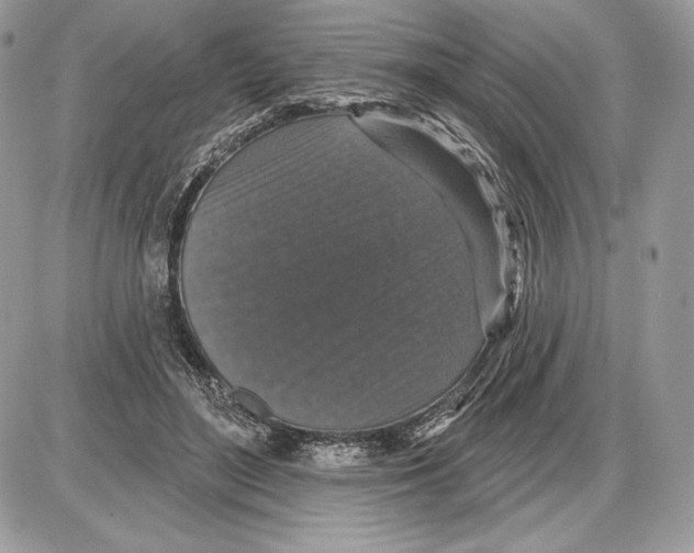 X0000085760500200704131741