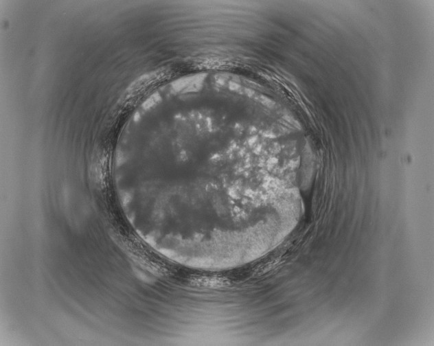 X0000085760503200704131741