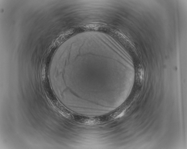 X0000085760504200704131741