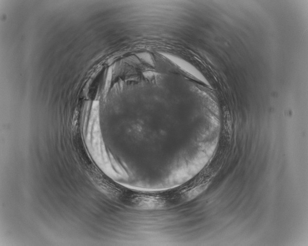 X0000085760507200704131741