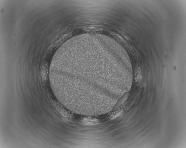 X0000085760515200704131741