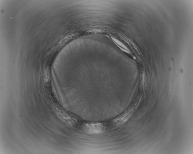 X0000085760517200704131741