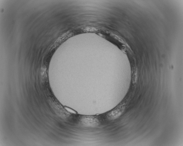X0000085760521200704131741