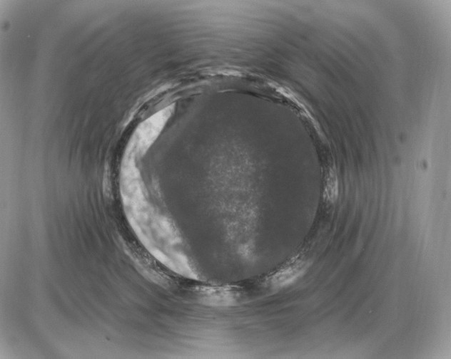 X0000085760524200704131741