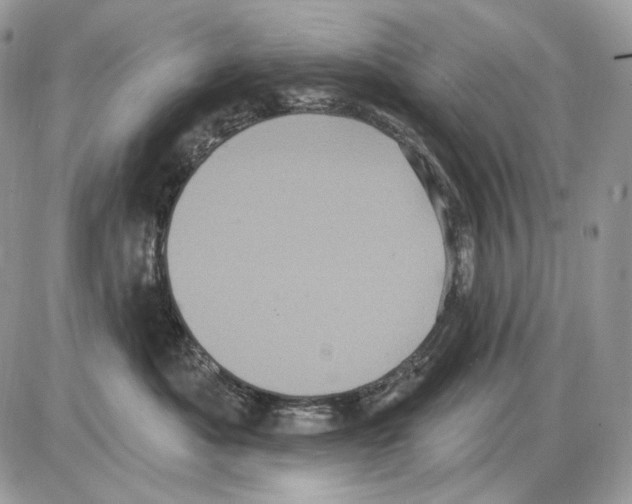 X0000085760525200704131741
