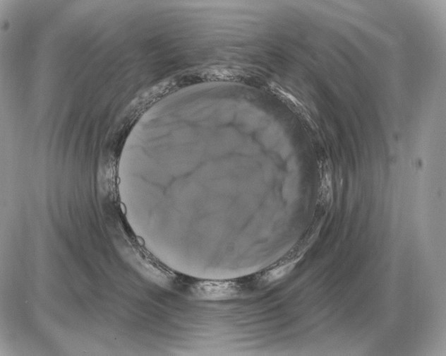 X0000085760526200704131741