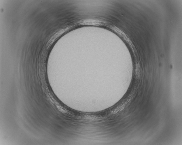 X0000085760529200704131740