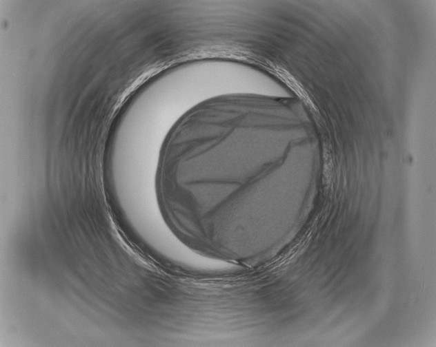 X0000085760530200704131740