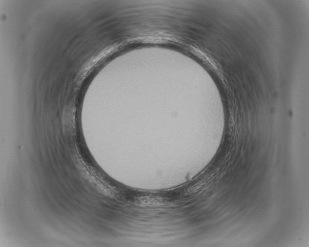 X0000085760535200704131740