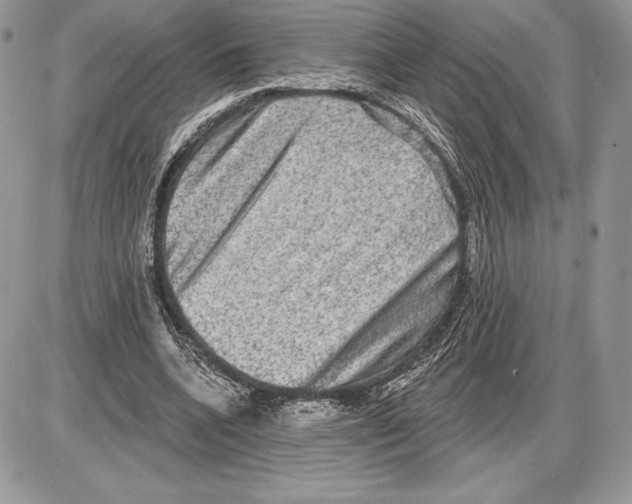 X0000085760536200704131740